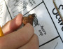 Scavenger Hunt