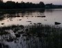 GreyLHuronSunset_Stefan-Flickr_219x219
