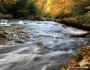 River in Ohiopyle State Park