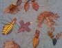 Leaf animals