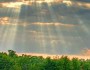 SunlightthroughClouds_RandenPederson_219x219