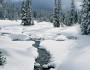 A brook cuts through a winter landscape by John J. Stier