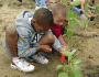 schoolyard habitat