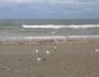 Lake Erie