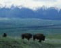 National Bison Range (photo: US FWS)