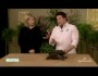 NWF Naturalist David Mizejewski show Martha Stewart an Alligator Snapping Turtle.