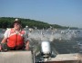 644.asian_carp