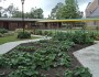 Savannah Country Day School (Laura Hickey)