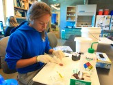 Researcher at Dauphin Island Sea Lab tests red snapper samples, October 2010 (via Flickr's BP America)
