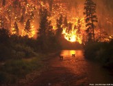 Understanding changes in land cover and climate will be key to managing wildfire. Photo by John McColgan, BLM.