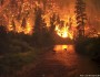 Understanding changes in land cover and climate will be key to managing wildfire. Photo by John McColgan, BLM.