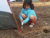 Great American Backyard Campout