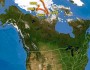 magnetic pole