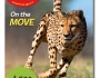 1108_BigBackyardCover