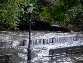 Irene aftermath in the Bronx, via Edwin Martinez1/Flickr
