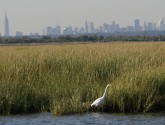 Jamica Bay with the backdrop of NYC. Nature is not far away.