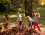 kids playing in leaves.