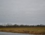 Shiawassee Flats Wetland Restoration - Birds