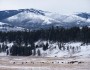 Yellowstone