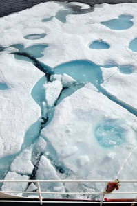 Melting sea ice (Flickr\ U.S. Geological Survey)