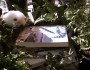 Everyone loves a good book! Photo by: Bryn Fluharty