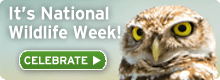 National Wildlife Week Badge