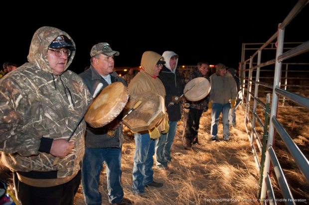 Tribal drum ceremony at the Ft. Peck bison release