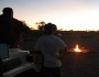 great amercian backyard campout, nwf, national wildlife federation, children, nature, camping
