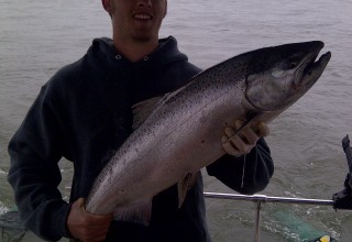 2012 springer 2012 springer