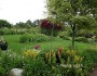 Blog-garden-ipswich-mass-Nancy-Smith-330793 copy