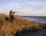 Duck Hunting NCTC Image Library