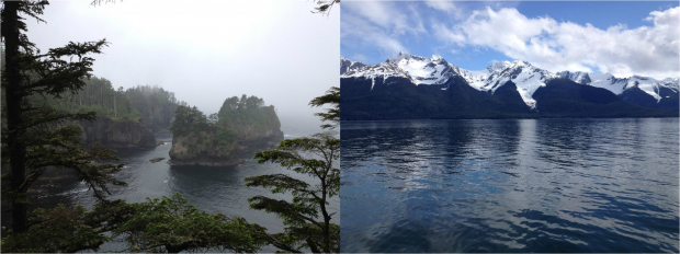 Coastal temperate rainforests at Cape Flattery, WA and Juneau, AK