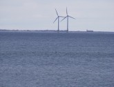 Wind turbines off Blyth, UK (Flickr's Zabdiel)