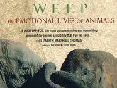 When Elephants Week by Jeffery Moussaieff Masson and Susan McCarthy