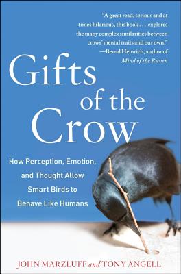 Gifts  Crow on Gift Of The Crow1 Jpg