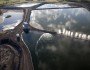 Coal Ash Sludge Ponds in Colstrip, Montana