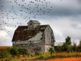 Old barns might still be pretty, but old farm laws are not. The Farm Bill has to keep moving forward to keep up with the times. Photo credit: flickr, cwwycoff1