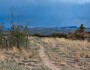 Grasslands in New Mexico, near Las Conchas fire site