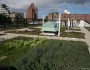 Green Roof on PS 41 in New York