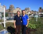 We didn't want to leave its beauty! PS41's green roof, September 2012.