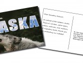Alaska Postcard