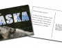 Alaska Postcard
