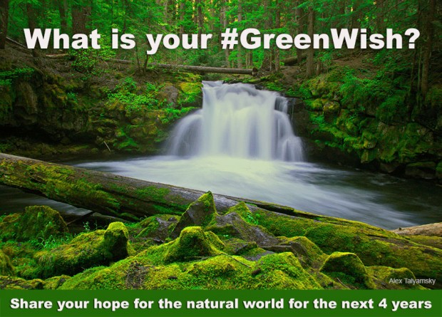 What's Your #GreenWish?