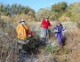 Volunteers with the Colorado Wildlife Federation remove buckthorn, an invasive species. NWF photo courtesy John Gale.
