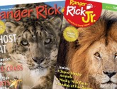 2013_ParentsChoice_Covers