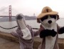 porpoise ranger rick gg
