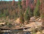 Dave Powell - USDA Forest Svc - La Grande Ranger District - Bugwood