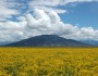 Río Grande del Norte National Monument in Northern New Mexico. BLM photo.