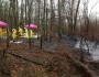 Marsh coated in tar sands oil from Exxon Mobil Pegasus pipeline spill, Mayflower, Ark., April 2013 (NWF photo)
