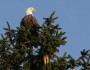 National Wildlife Photo Contest entry by Helen Anderson.